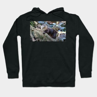 Northern River Otter Hoodie